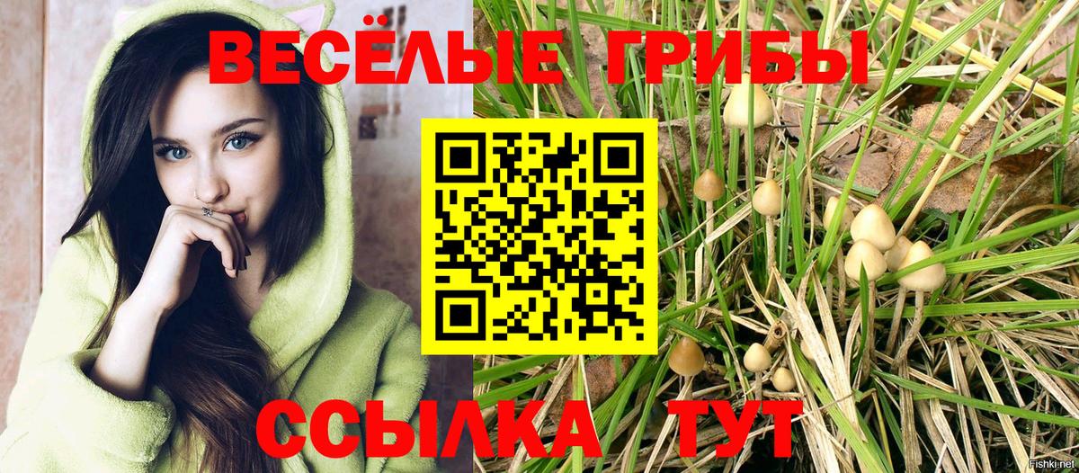 Галлюциногенные грибы GOLDEN TEACHER Троицк