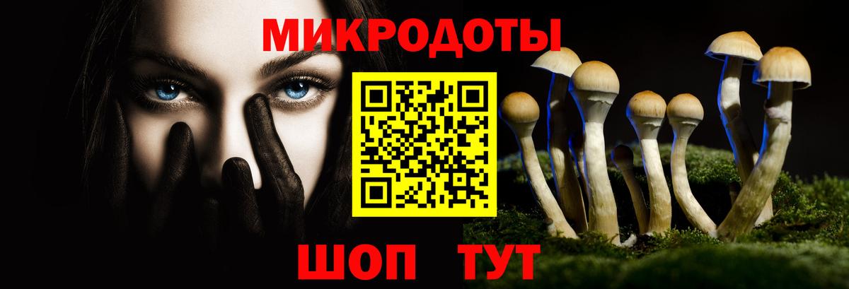 Троицк  Псилоцибиновые грибы MAGIC MUSHROOMS  Вход с VPN 